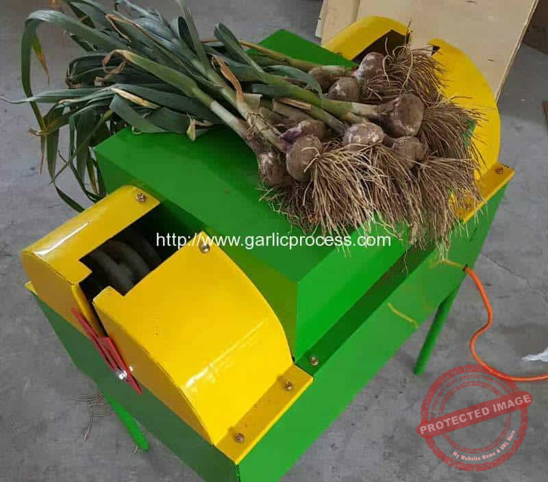 New-Color-Garlic-Sprout-Stem-Cutting-Machine-for-New-Zealand-Market